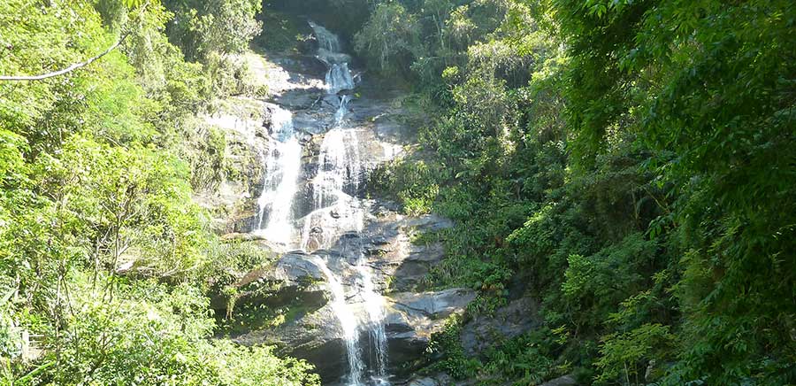 Respecting the local environment and wildlife in Rio de Janeiro