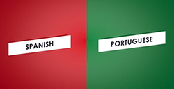 Similarities and differences between the Spanish and Portuguese languages